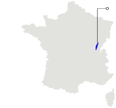 Domain Image